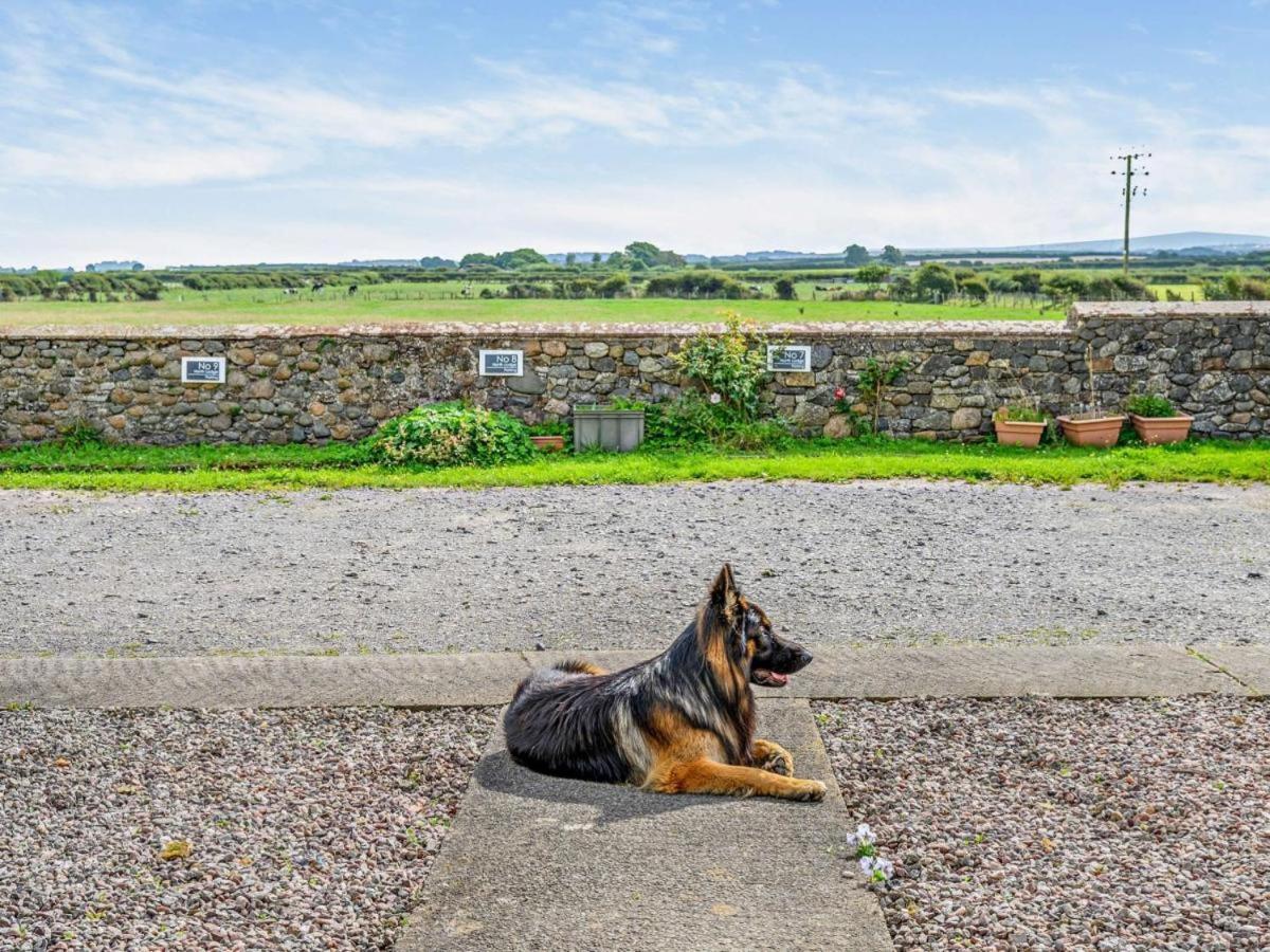 North Lodge Retreat Allonby ماريبورت المظهر الخارجي الصورة